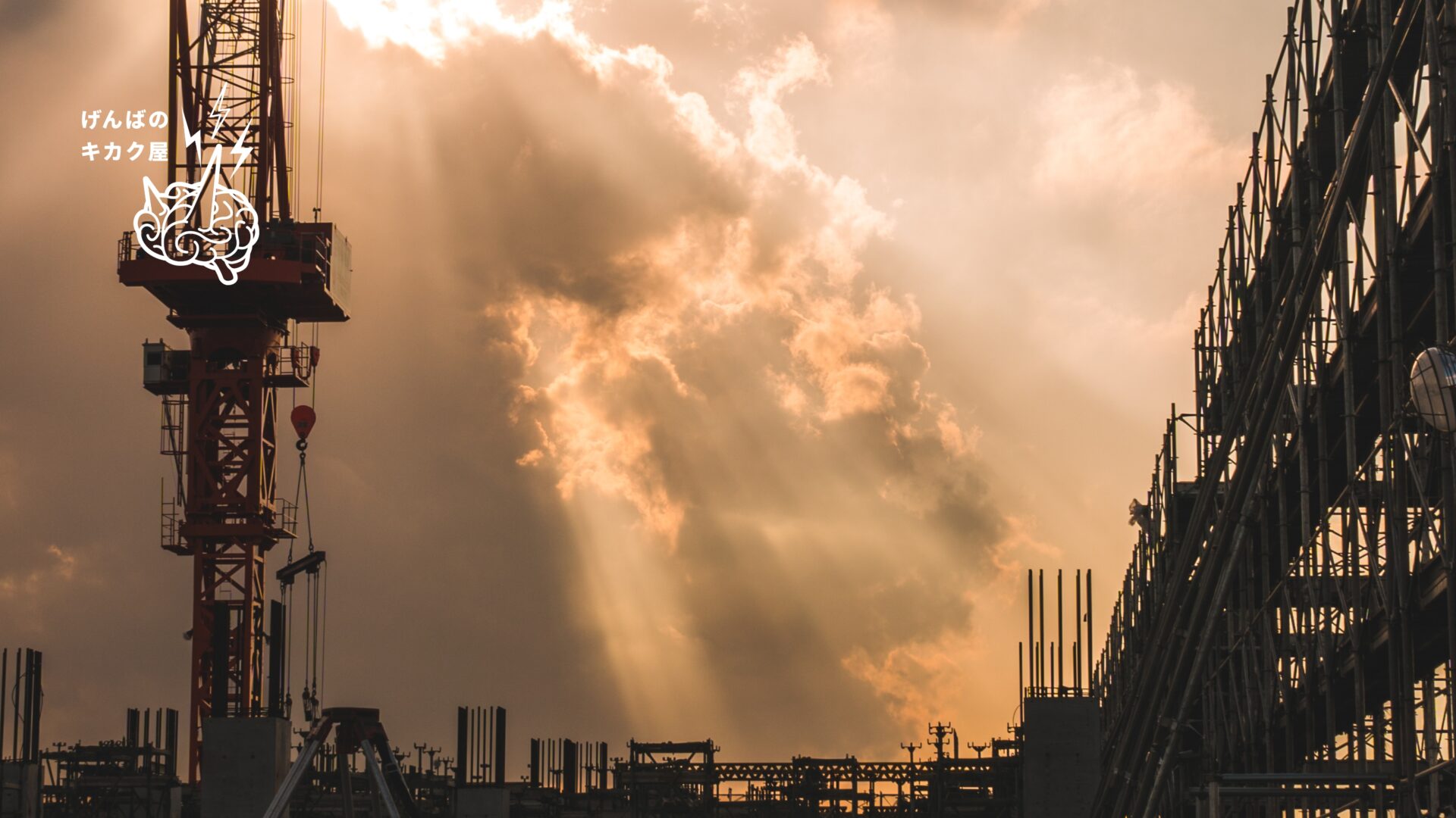 Snapshot　スナップ2