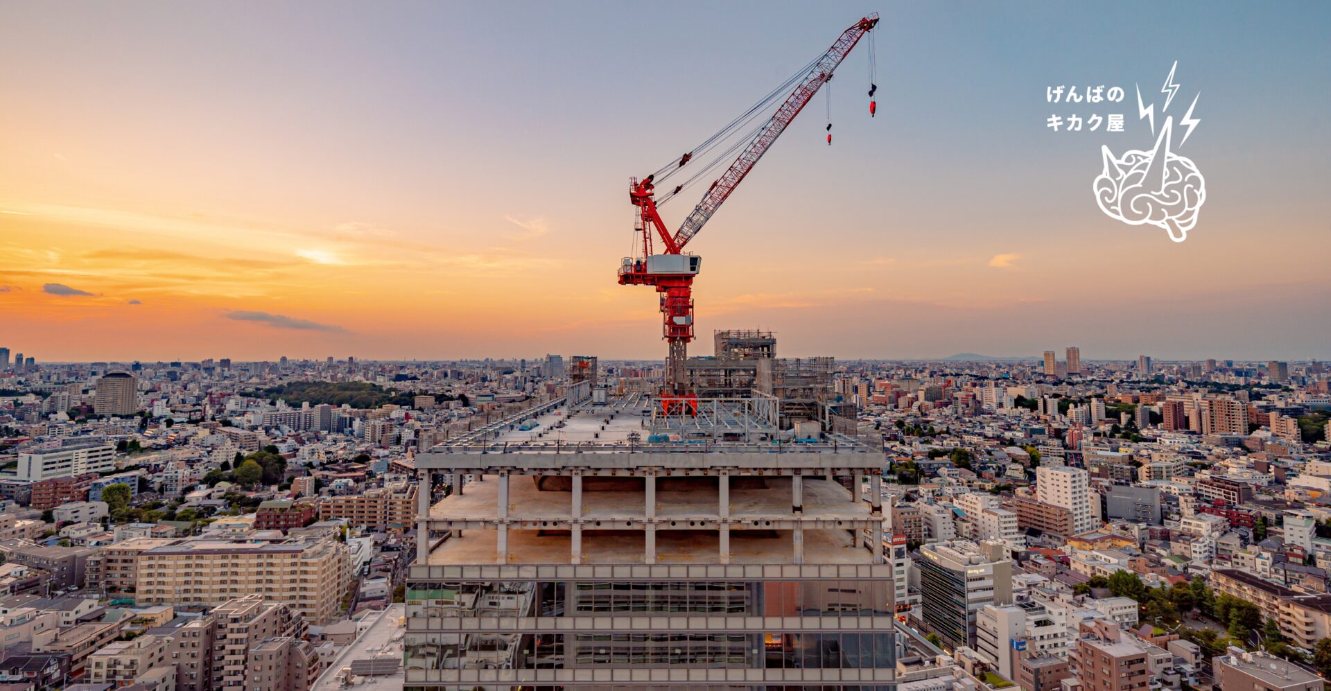 City lights　夜景1